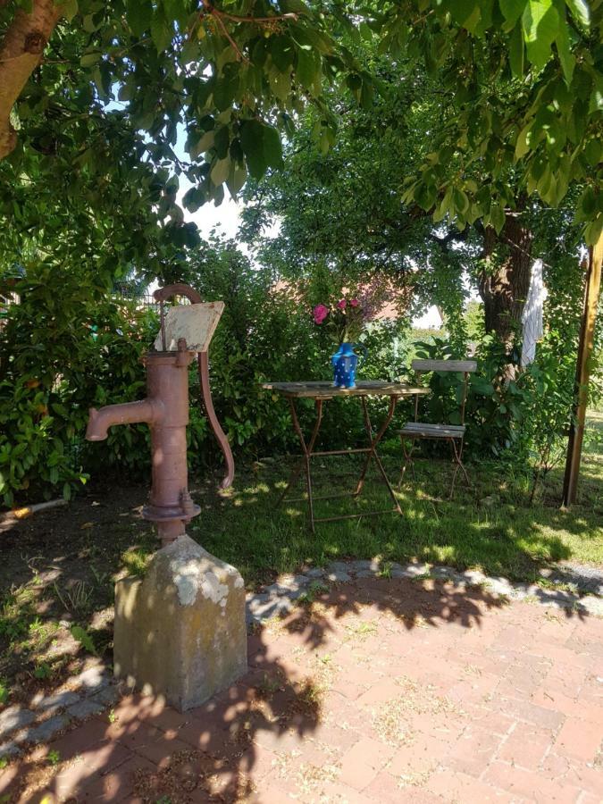 Ferienidyll-Reitwein Villa Bagian luar foto